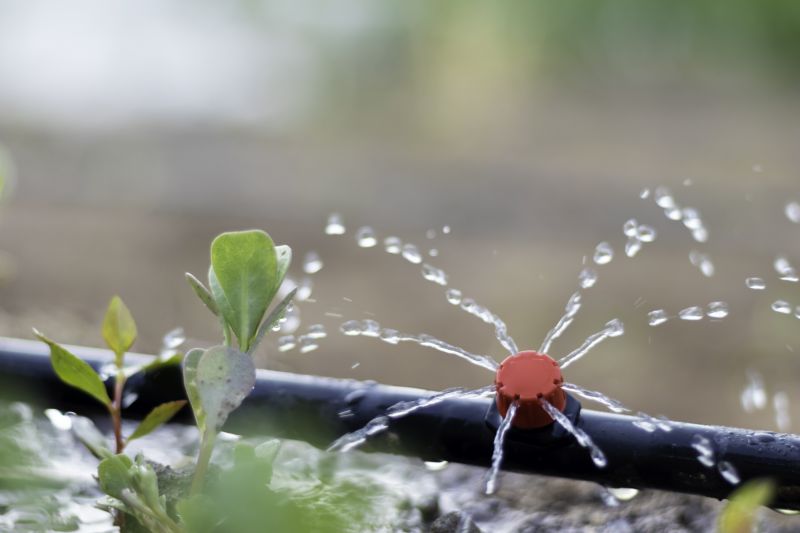 Drip System Installation in Ventura County, CA