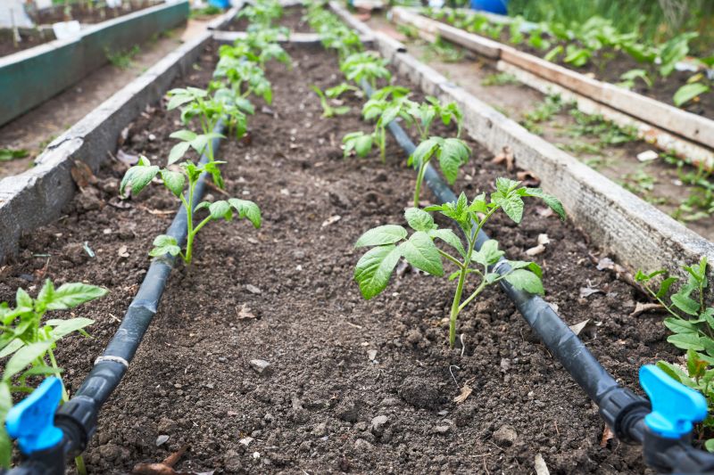 Garden Irrigation Installation in Aiken, SC