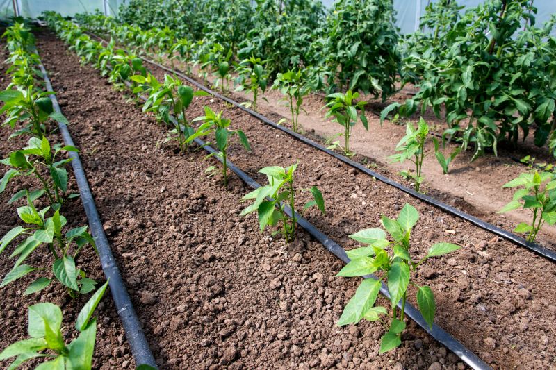 Garden Irrigation Installation in Honolulu, HI