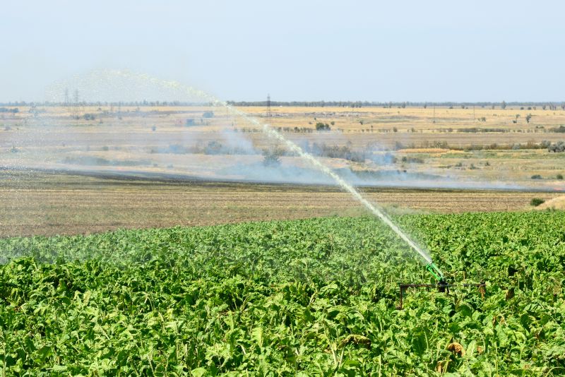 Irrigation Installation in Ventura County, CA