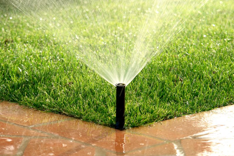 Irrigation Winterization in Carson City, NV