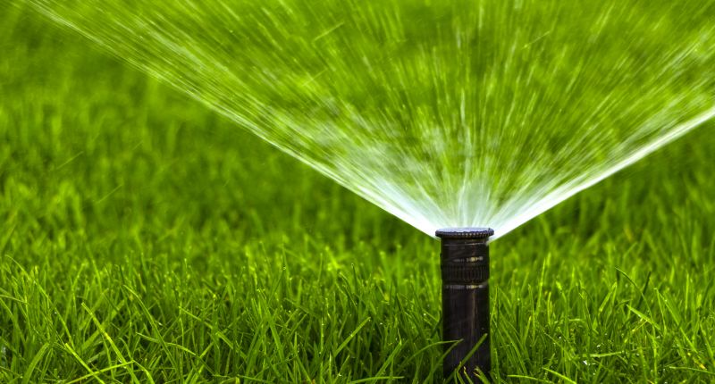 Sprinkler Head Replacement in Honolulu, HI