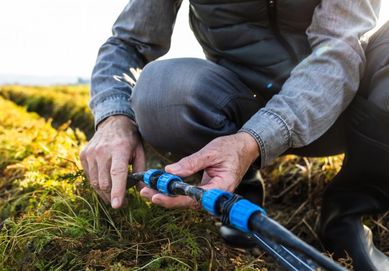 Damaged Sprinkler Repair in Aiken, SC