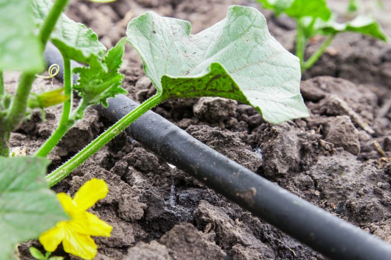 Drip Irrigation Installation in Honolulu, HI