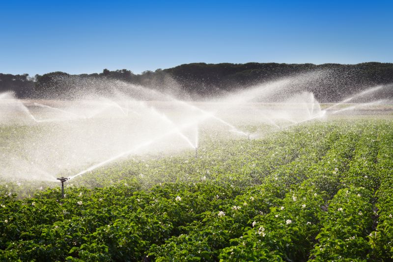 Field Irrigation Installation in Aiken, SC