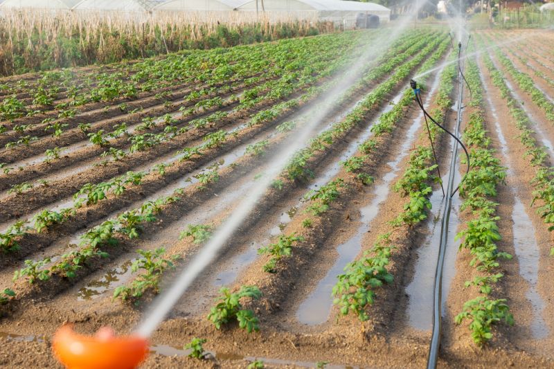 Irrigation Installation in Ventura County, CA