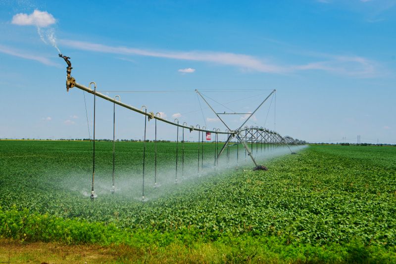 Irrigation Service in Honolulu, HI