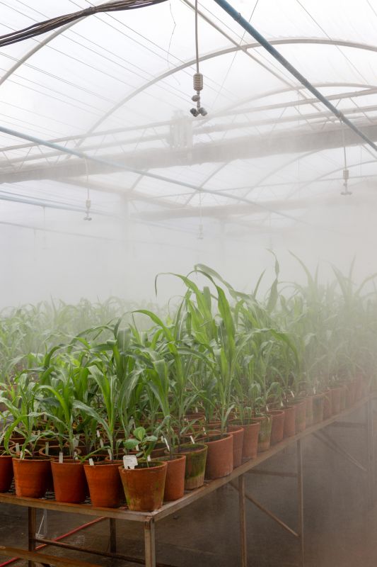 Mist Irrigation Installation in Aiken, SC