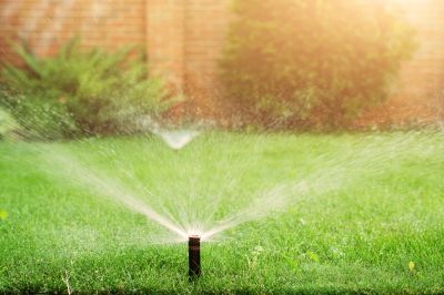 Sprinkler Blowout Service in Reno, NV