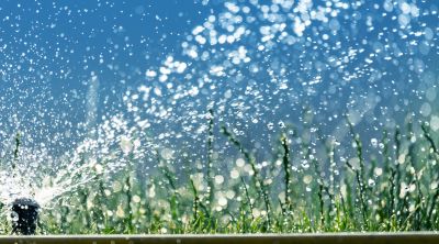 Sprinkler Blowout Service in Carson City, NV
