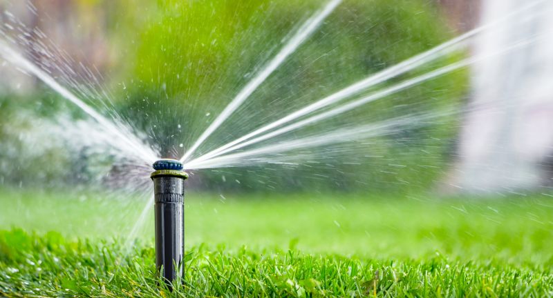 Sprinkler Winterization in Carson City, NV