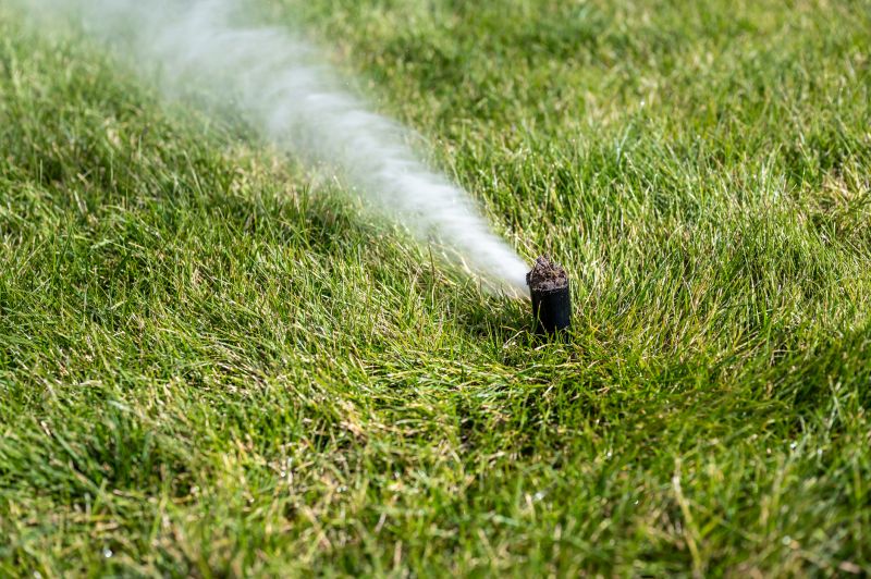 Sprinkler Winterization in Honolulu, HI