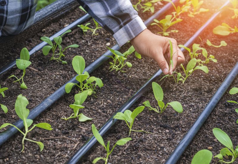Yard Irrigation Installation in Ventura County, CA